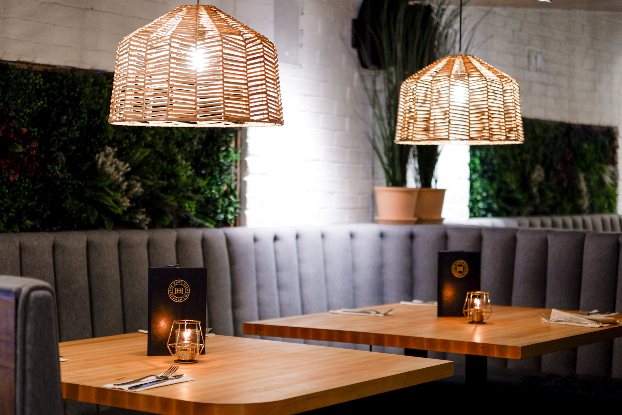 Hard Bean Promo Image